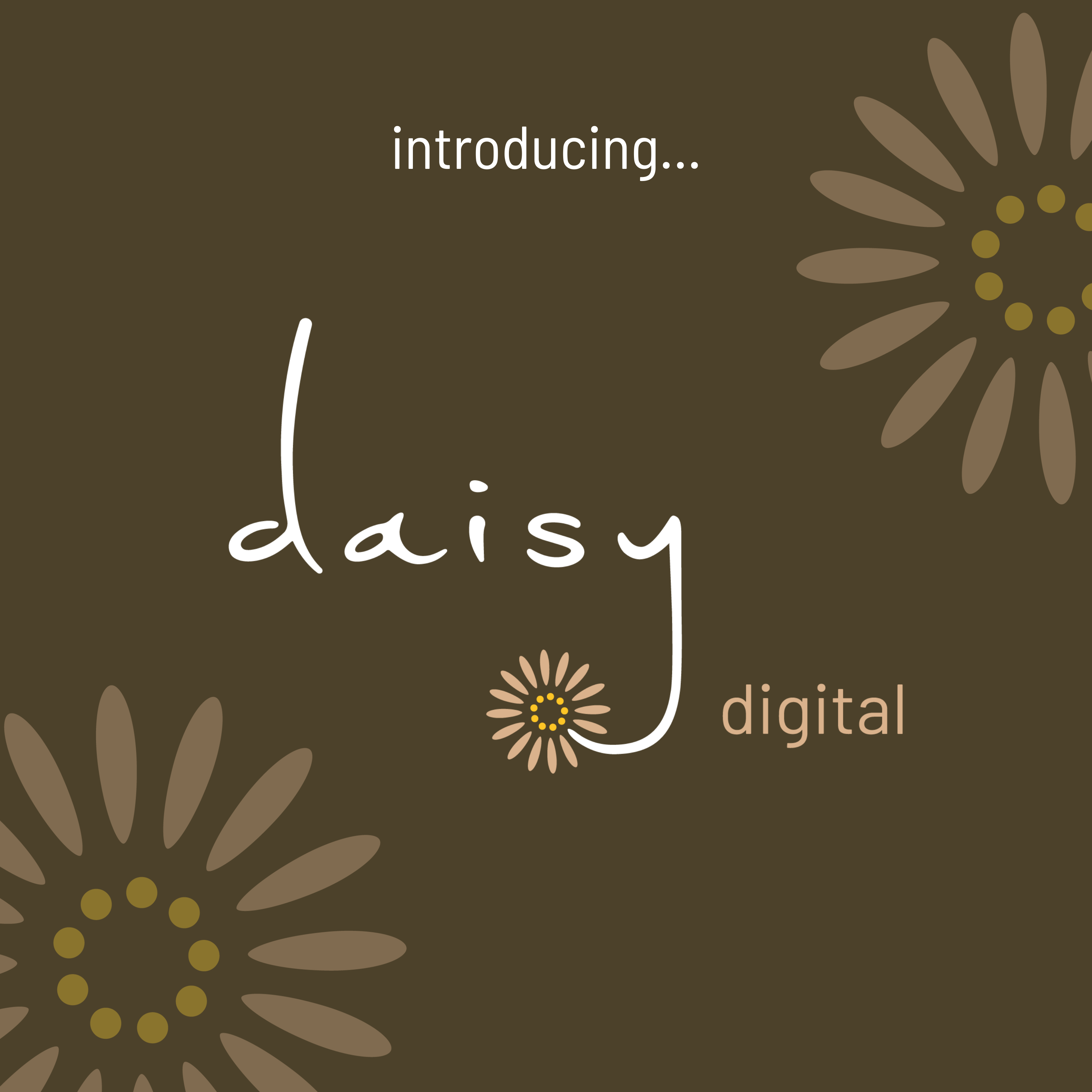 introducing daisy digital