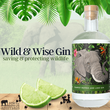 For the Animals - Gin C1